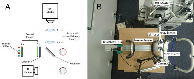 https://cdn.ncbi.nlm.nih.gov/pmc/blobs/56ff/9811374/9e7fe0757475/gr1.jpg