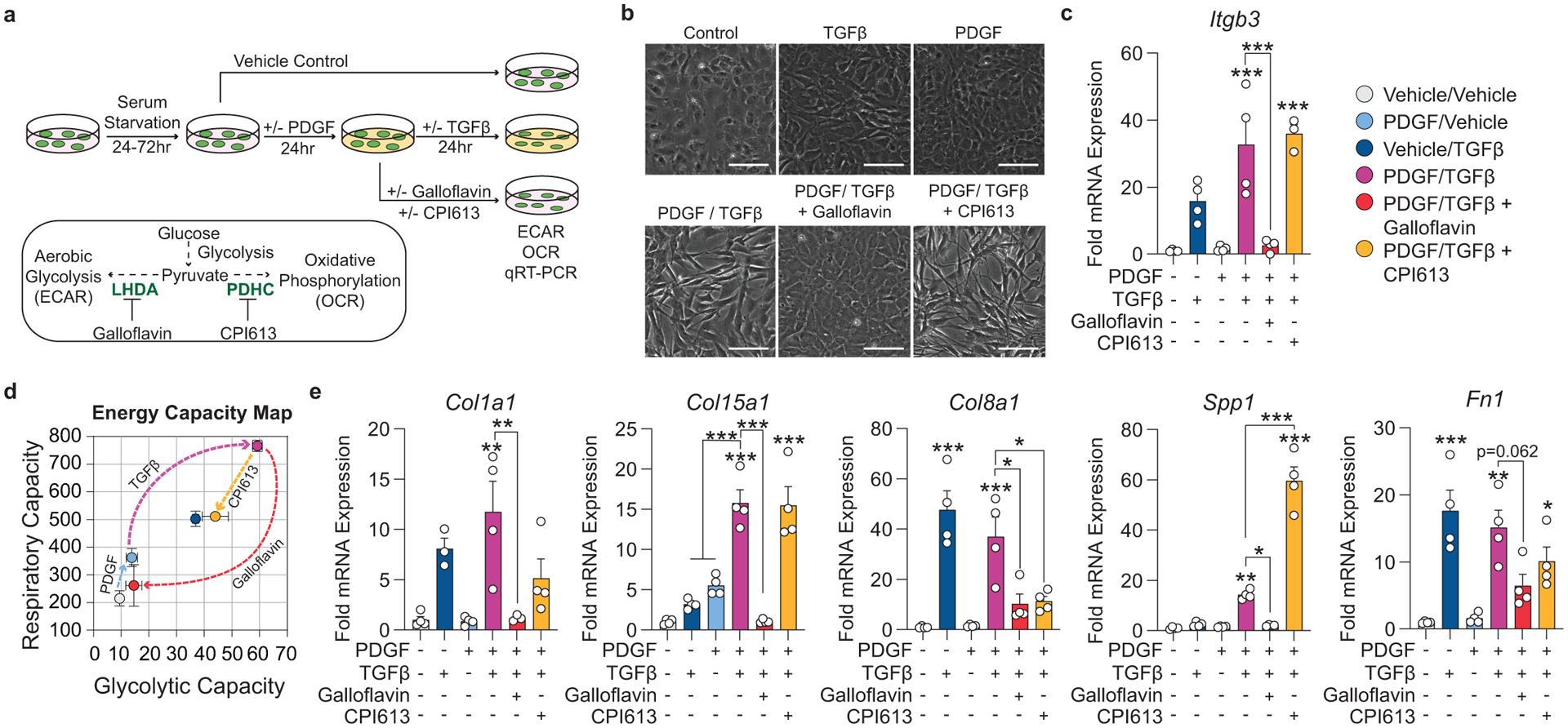 https://cdn.ncbi.nlm.nih.gov/pmc/blobs/5700/7905710/23bbcb049108/nihms-1657184-f0006.jpg