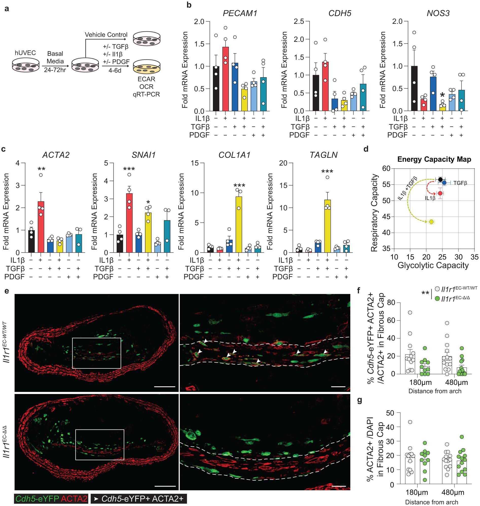 https://cdn.ncbi.nlm.nih.gov/pmc/blobs/5700/7905710/47104e51bb3e/nihms-1657184-f0007.jpg