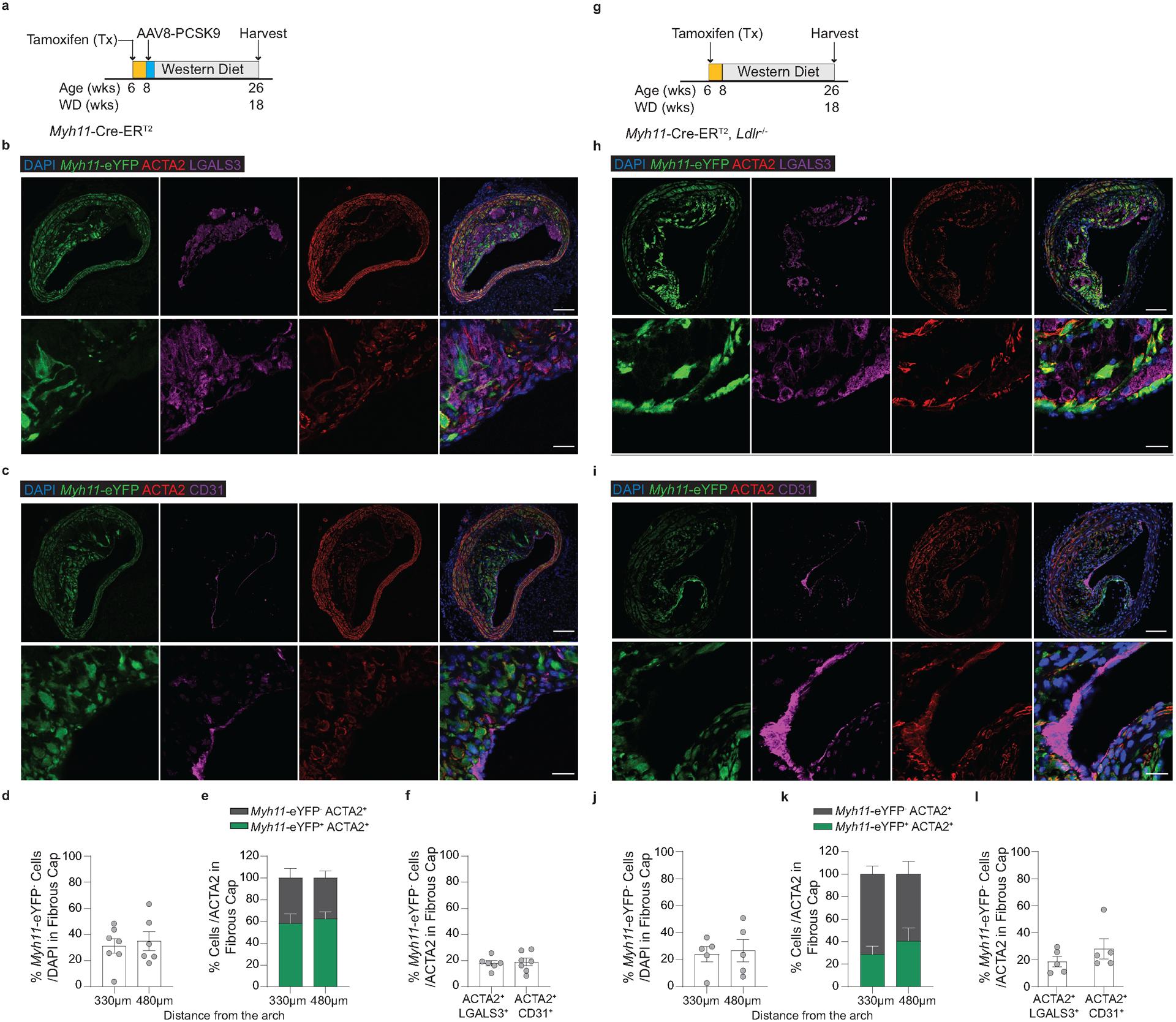 https://cdn.ncbi.nlm.nih.gov/pmc/blobs/5700/7905710/6ae7b9a624b1/nihms-1657184-f0012.jpg