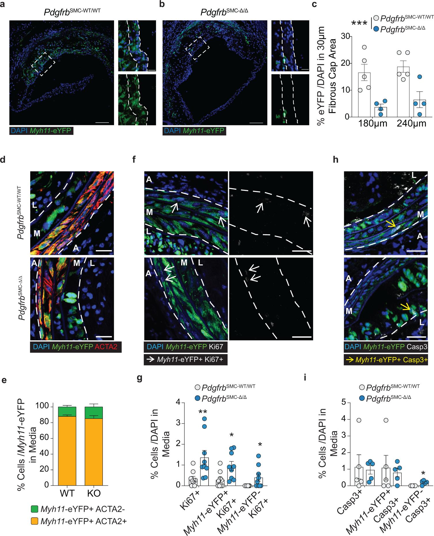 https://cdn.ncbi.nlm.nih.gov/pmc/blobs/5700/7905710/a8f900384904/nihms-1657184-f0009.jpg