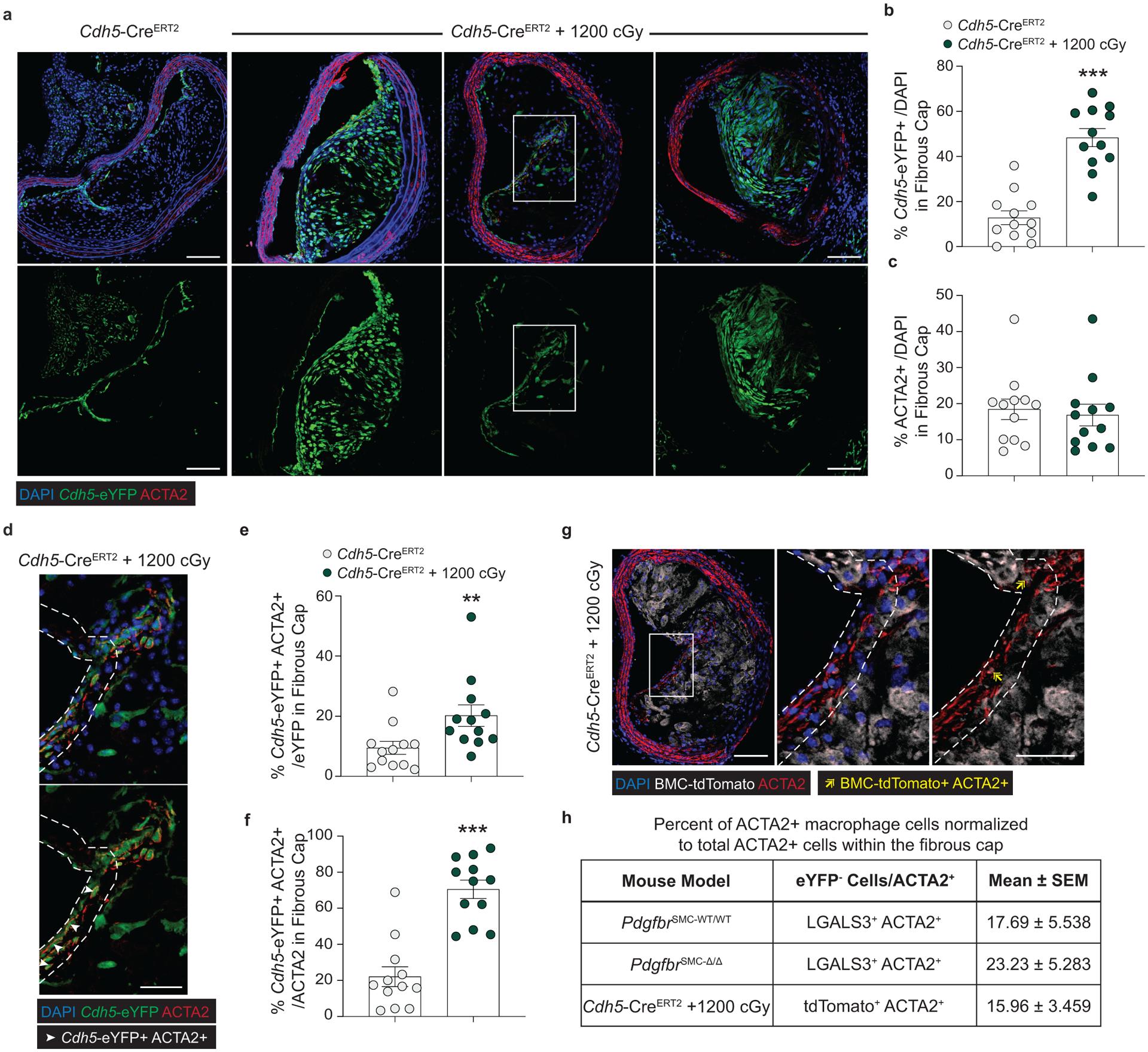 https://cdn.ncbi.nlm.nih.gov/pmc/blobs/5700/7905710/bd34ce7c012d/nihms-1657184-f0014.jpg