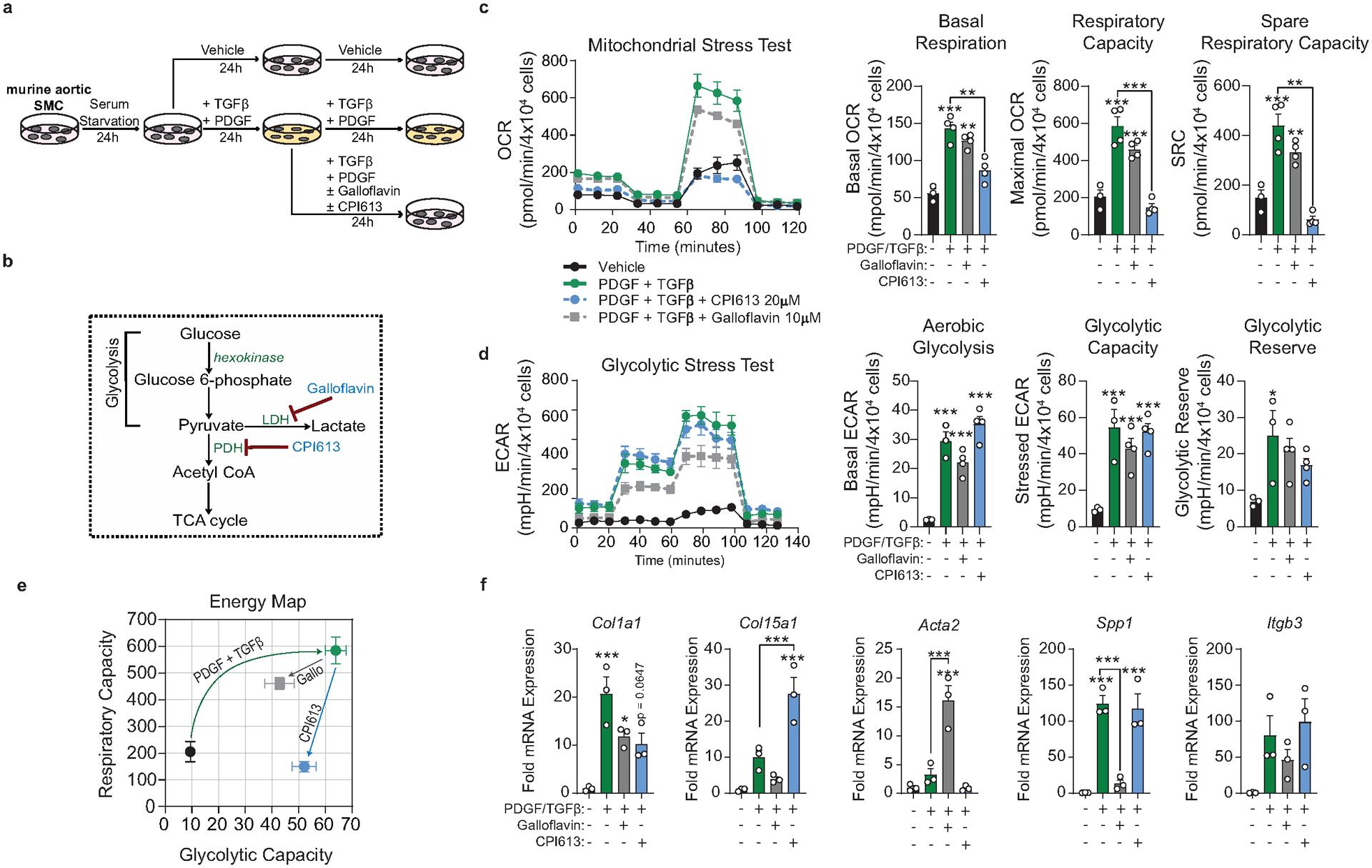 https://cdn.ncbi.nlm.nih.gov/pmc/blobs/5700/7905710/c0e0f9fadc62/nihms-1657184-f0017.jpg