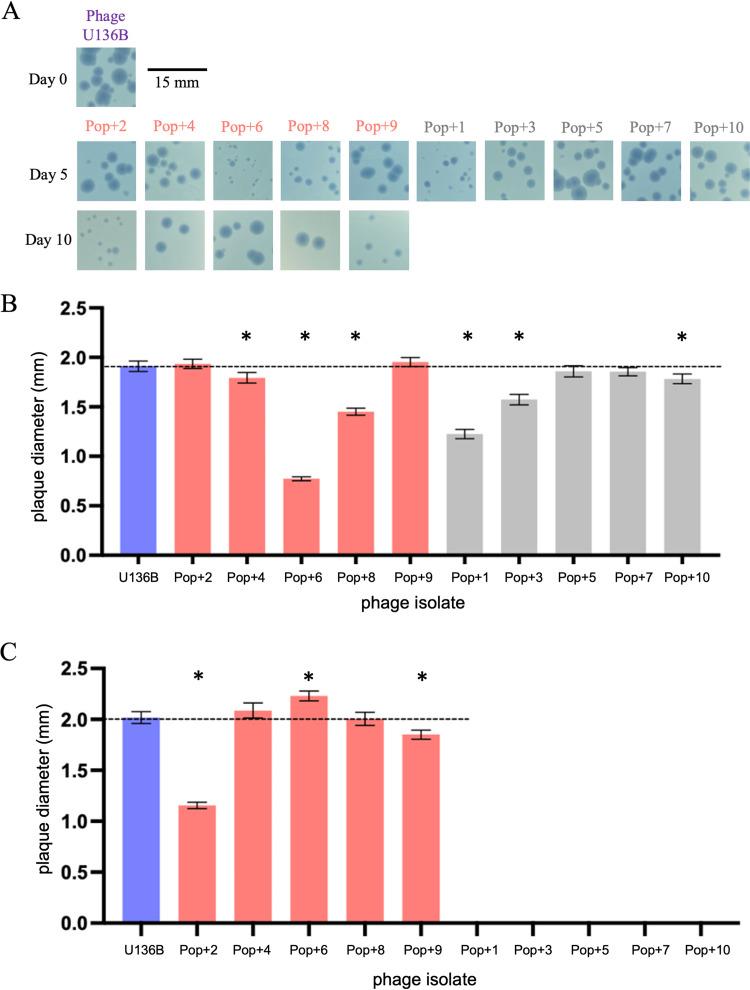 https://cdn.ncbi.nlm.nih.gov/pmc/blobs/5704/10304864/5b252523c519/aem.00079-23-f003.jpg