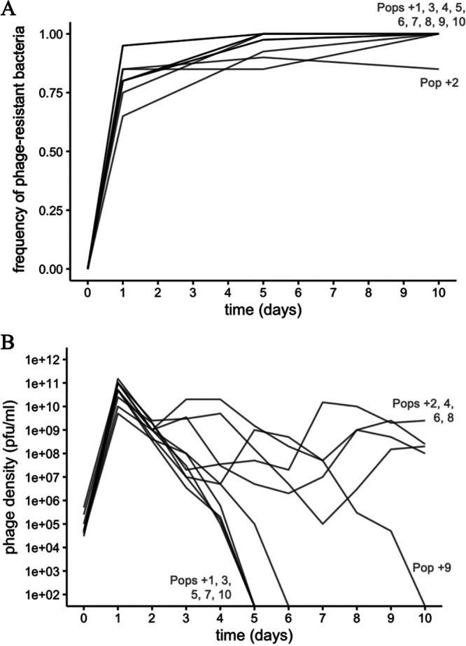 https://cdn.ncbi.nlm.nih.gov/pmc/blobs/5704/10304864/abb5d14ff90a/aem.00079-23-f002.jpg