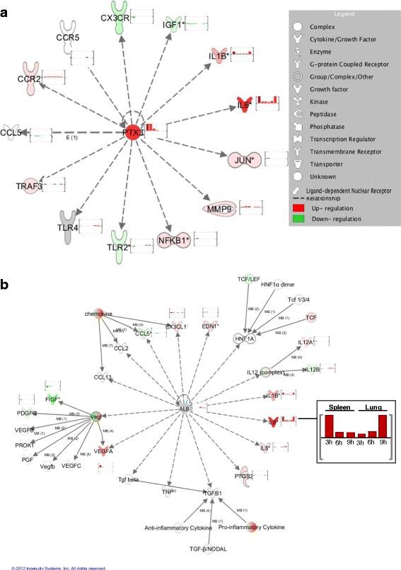 https://cdn.ncbi.nlm.nih.gov/pmc/blobs/5704/5371264/06363134bc20/12864_2017_3641_Fig7_HTML.jpg