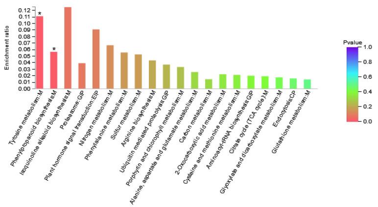 https://cdn.ncbi.nlm.nih.gov/pmc/blobs/5704/9030517/961ec930b5a3/genes-13-00670-g005.jpg