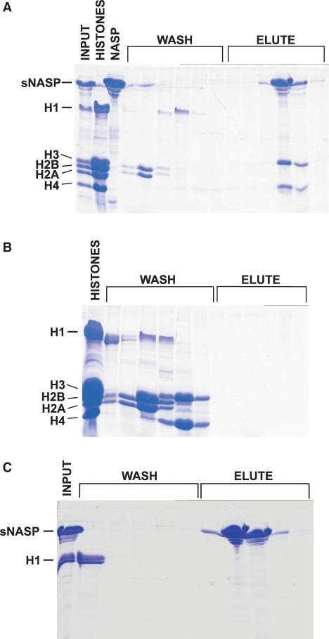 https://cdn.ncbi.nlm.nih.gov/pmc/blobs/5706/2566879/66767c3d356f/gkn574f4.jpg