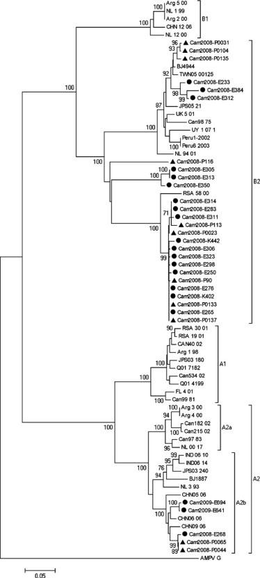 https://cdn.ncbi.nlm.nih.gov/pmc/blobs/5706/7106057/a5e98a470347/gr3.jpg