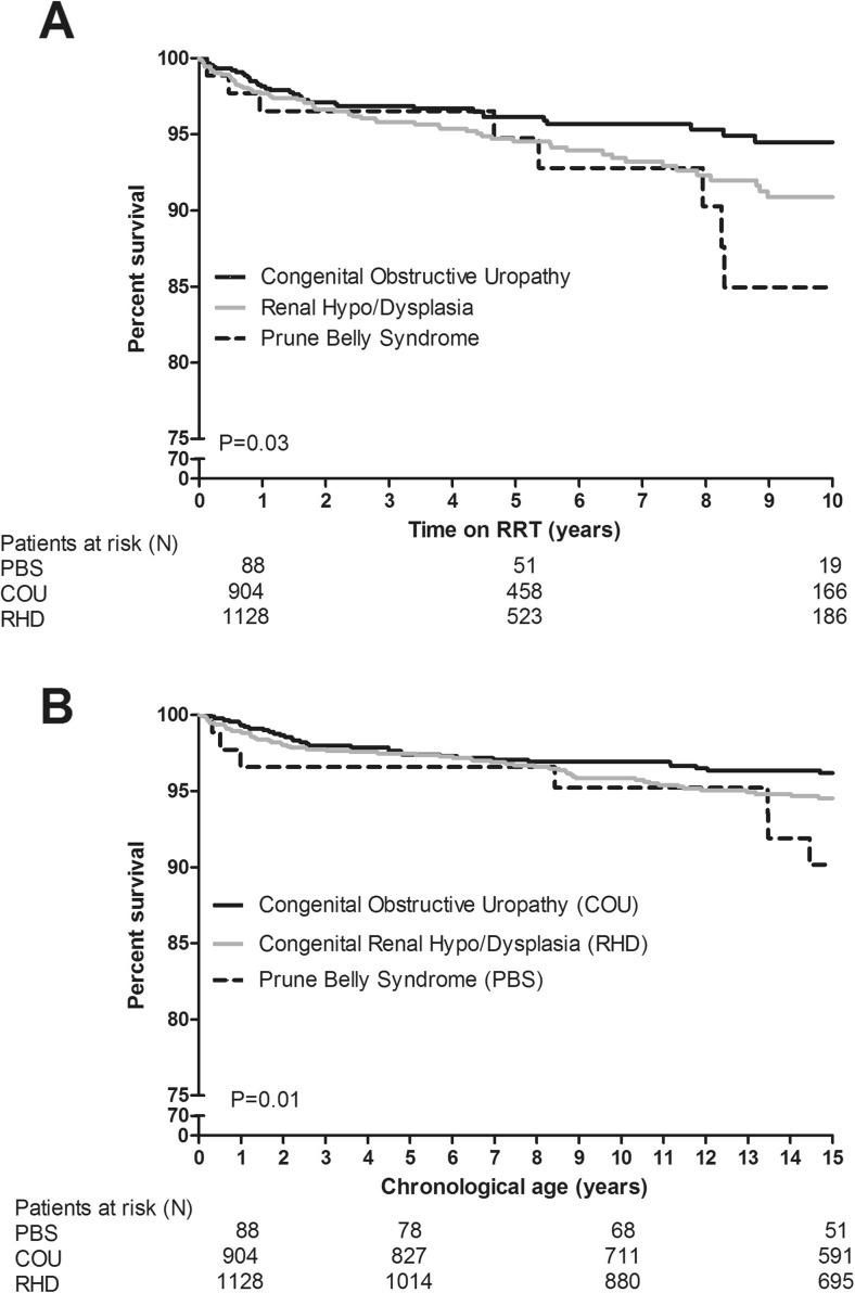 https://cdn.ncbi.nlm.nih.gov/pmc/blobs/5707/5700229/d05005f52334/467_2017_3770_Fig3_HTML.jpg