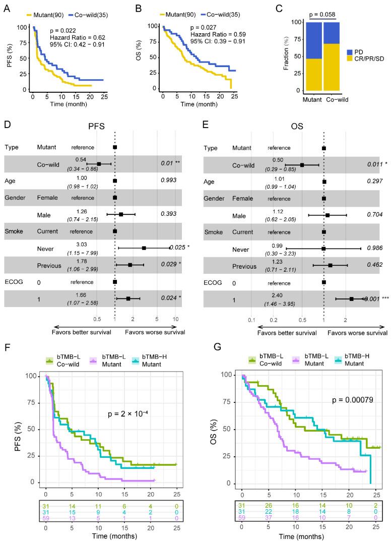 https://cdn.ncbi.nlm.nih.gov/pmc/blobs/5707/9320428/169713c69bb9/cancers-14-03382-g002.jpg