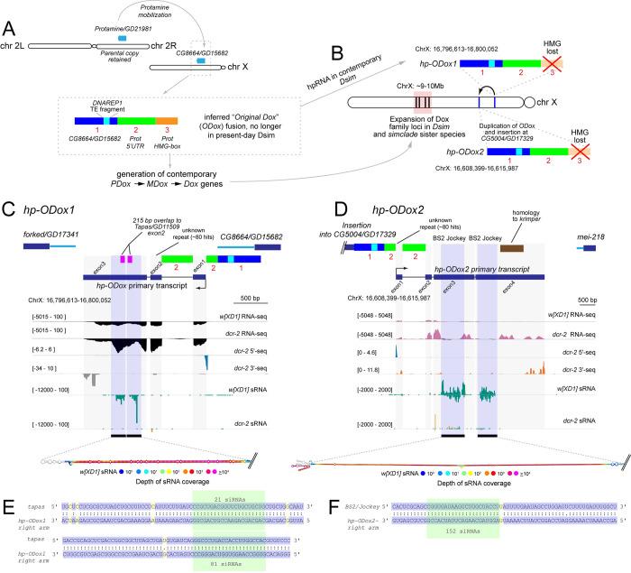 https://cdn.ncbi.nlm.nih.gov/pmc/blobs/5708/10317233/f0e5e0996466/pgen.1010787.g003.jpg