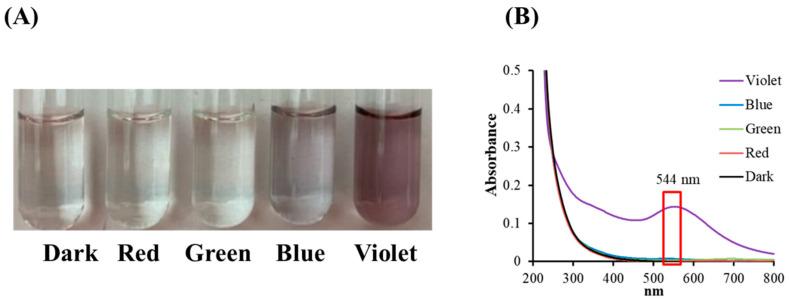 https://cdn.ncbi.nlm.nih.gov/pmc/blobs/5709/11242887/36e4b21ce969/materials-17-03157-g002.jpg