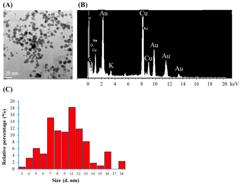 https://cdn.ncbi.nlm.nih.gov/pmc/blobs/5709/11242887/a30ba5866d32/materials-17-03157-g003.jpg