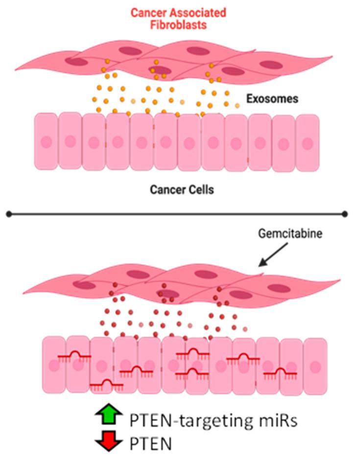 https://cdn.ncbi.nlm.nih.gov/pmc/blobs/5709/9179363/41c0c24be588/cancers-14-02812-g006.jpg