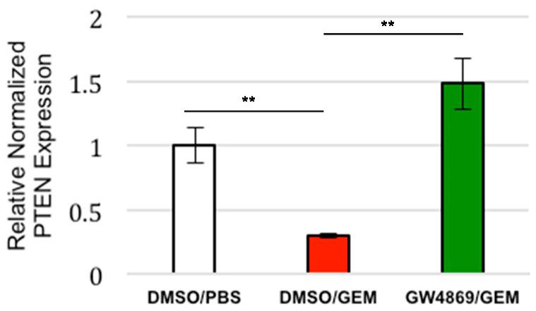 https://cdn.ncbi.nlm.nih.gov/pmc/blobs/5709/9179363/b2ade87884d8/cancers-14-02812-g003.jpg