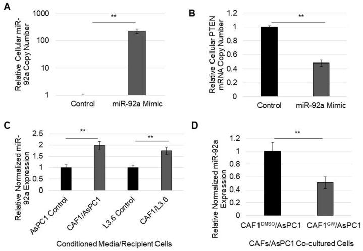https://cdn.ncbi.nlm.nih.gov/pmc/blobs/5709/9179363/c358acef0ca0/cancers-14-02812-g005.jpg