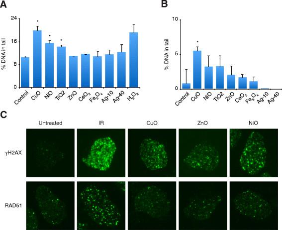 https://cdn.ncbi.nlm.nih.gov/pmc/blobs/570d/4237954/15d5f51ab770/s12989-014-0041-9-3.jpg