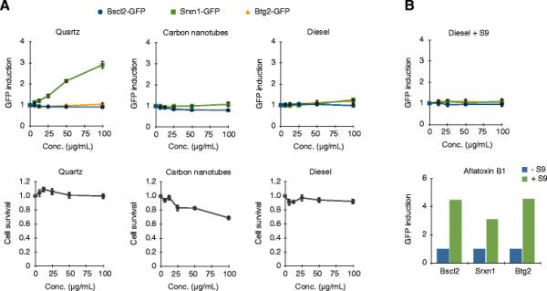 https://cdn.ncbi.nlm.nih.gov/pmc/blobs/570d/4237954/55de4c32955a/s12989-014-0041-9-5.jpg