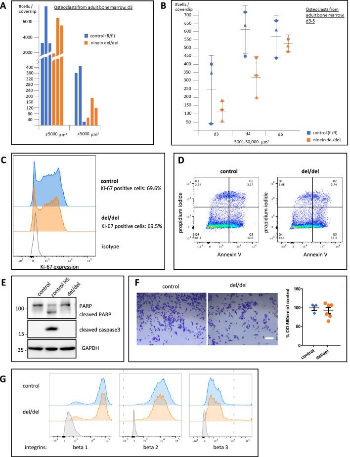 https://cdn.ncbi.nlm.nih.gov/pmc/blobs/5712/11175614/f2f78293fc89/elife-93457-fig7-figsupp1.jpg