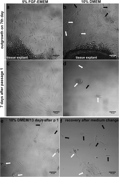 https://cdn.ncbi.nlm.nih.gov/pmc/blobs/5712/5415760/35ffea923d12/11658_2017_34_Fig2_HTML.jpg