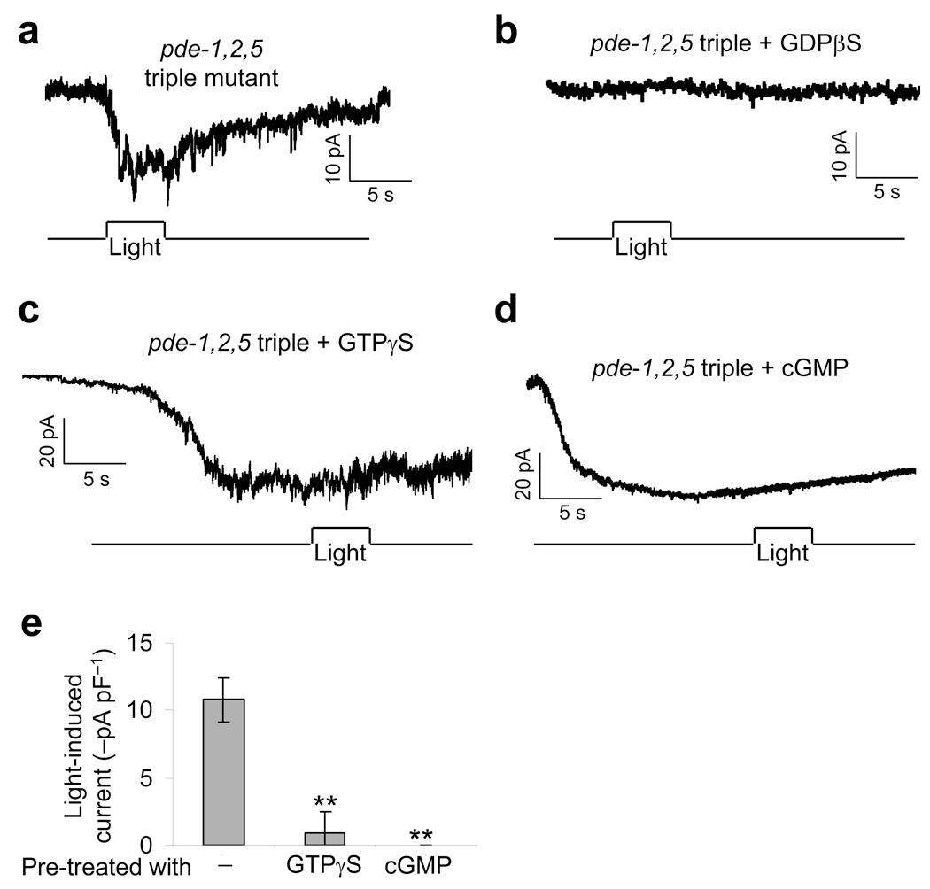 https://cdn.ncbi.nlm.nih.gov/pmc/blobs/5713/2882063/875bcc1fa9ae/nihms192506f4.jpg