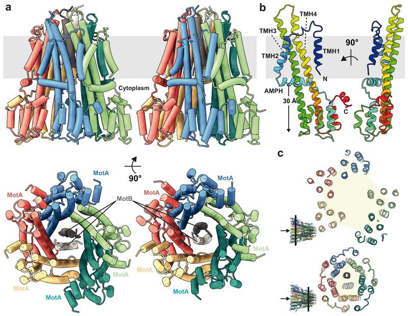 https://cdn.ncbi.nlm.nih.gov/pmc/blobs/5713/7610383/5656279674de/EMS118399-f002.jpg