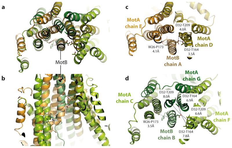 https://cdn.ncbi.nlm.nih.gov/pmc/blobs/5713/7610383/e781768d1d7d/EMS118399-f011.jpg