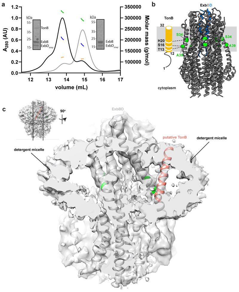 https://cdn.ncbi.nlm.nih.gov/pmc/blobs/5713/7610383/e9c53f5be99b/EMS118399-f015.jpg