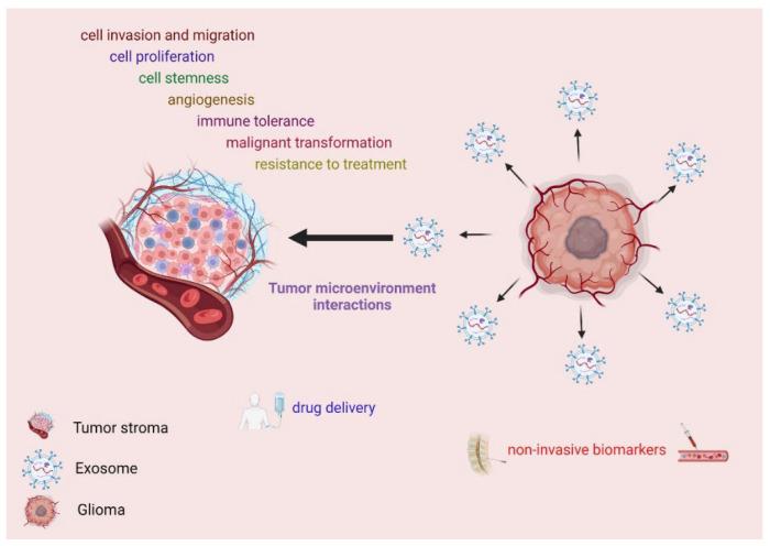 https://cdn.ncbi.nlm.nih.gov/pmc/blobs/5715/10299187/bbc772df42a9/ijms-24-10162-g001.jpg