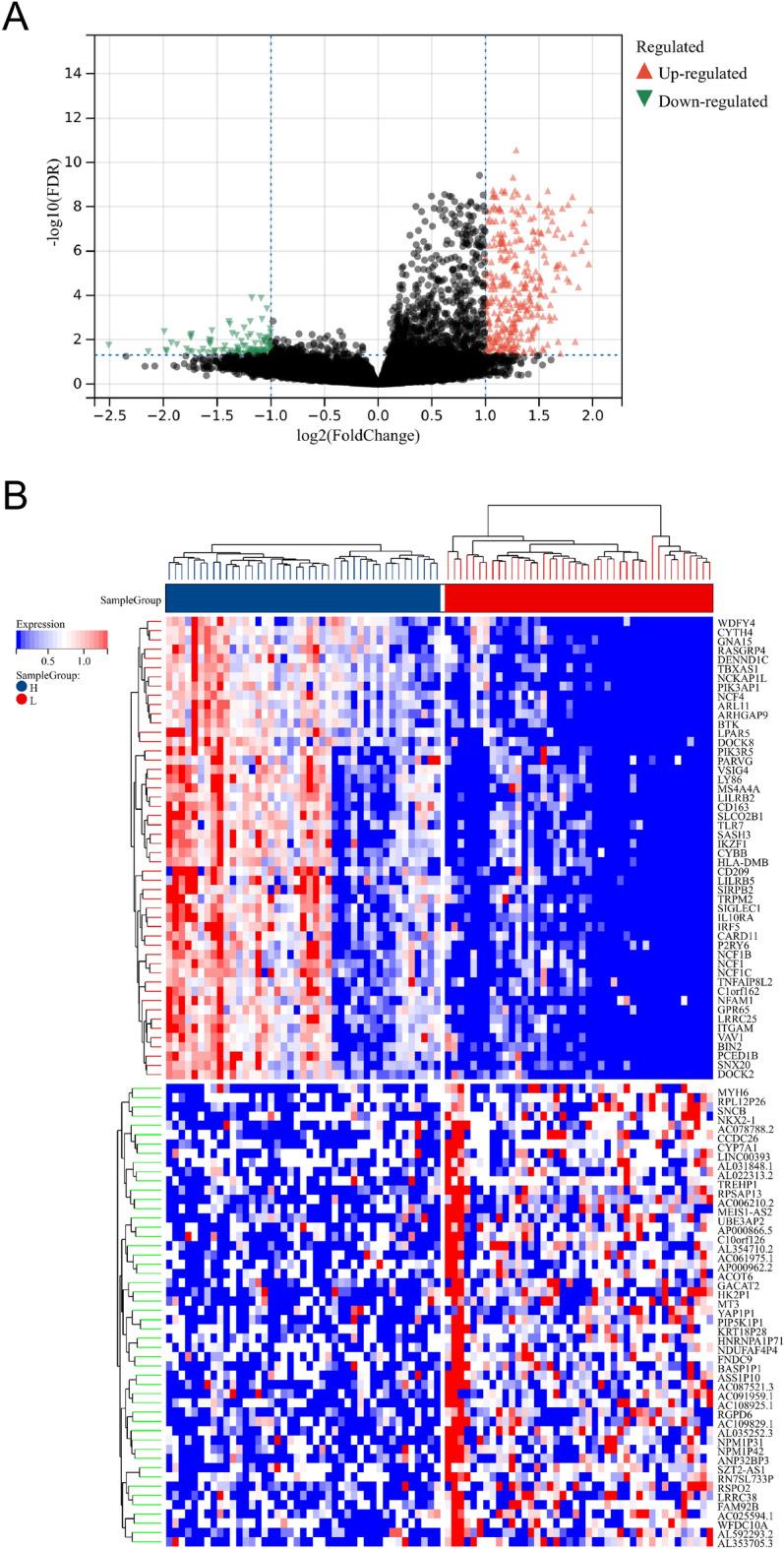 https://cdn.ncbi.nlm.nih.gov/pmc/blobs/5715/10908810/876125ad5720/41598_2024_55890_Fig2_HTML.jpg