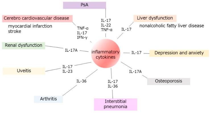 https://cdn.ncbi.nlm.nih.gov/pmc/blobs/5715/11172751/574c5629ddea/ijms-25-06270-g002.jpg