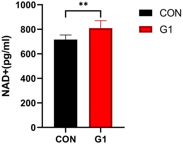 https://cdn.ncbi.nlm.nih.gov/pmc/blobs/5716/8358781/6459482fba35/fnut-08-714604-g0007.jpg