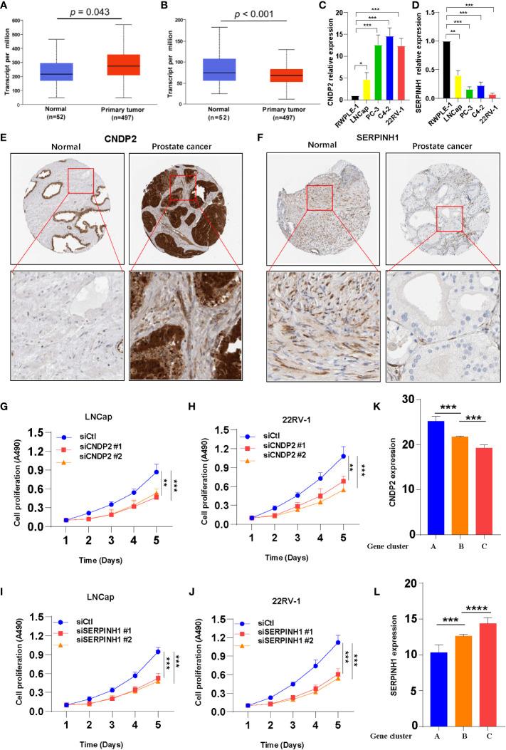 https://cdn.ncbi.nlm.nih.gov/pmc/blobs/5716/9868452/724a4fe800de/fimmu-13-1001297-g003.jpg