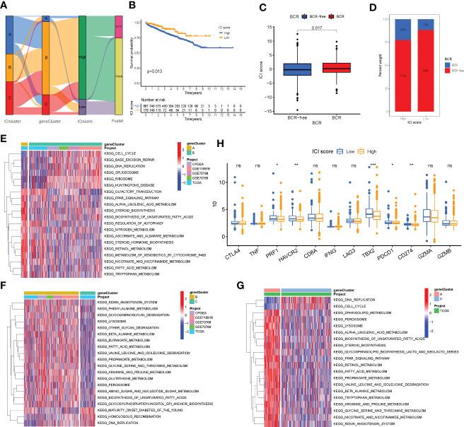 https://cdn.ncbi.nlm.nih.gov/pmc/blobs/5716/9868452/a6c2eee584df/fimmu-13-1001297-g005.jpg