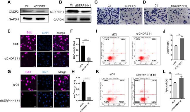 https://cdn.ncbi.nlm.nih.gov/pmc/blobs/5716/9868452/b1120a18fdd8/fimmu-13-1001297-g004.jpg