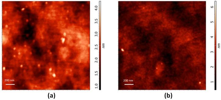 https://cdn.ncbi.nlm.nih.gov/pmc/blobs/571c/6409783/5836f644031d/nanomaterials-09-00282-g006.jpg