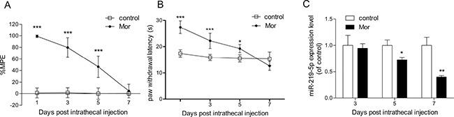 https://cdn.ncbi.nlm.nih.gov/pmc/blobs/5721/5438643/e28e73fd0ba8/oncotarget-08-28203-g001.jpg