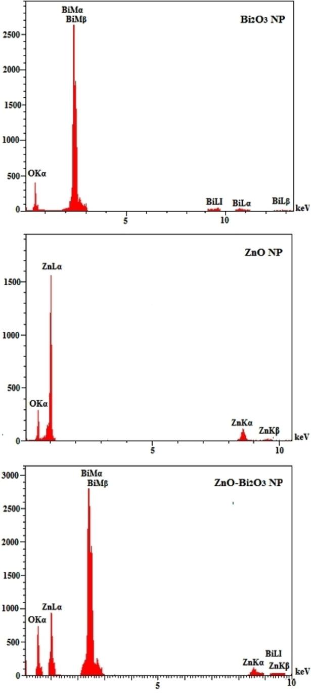 https://cdn.ncbi.nlm.nih.gov/pmc/blobs/5723/11004456/6072957f1737/OPEN-13-e202300176-g001.jpg