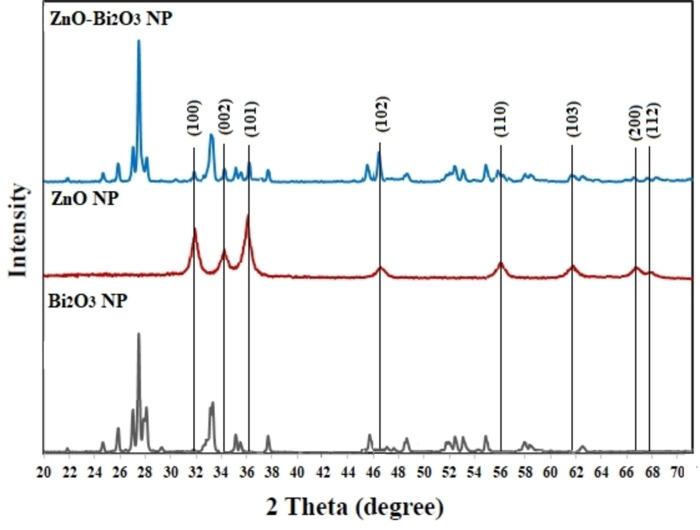 https://cdn.ncbi.nlm.nih.gov/pmc/blobs/5723/11004456/b4f9a61ac43a/OPEN-13-e202300176-g007.jpg
