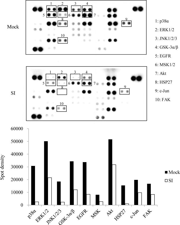 https://cdn.ncbi.nlm.nih.gov/pmc/blobs/5723/5708812/7d759715f774/pone.0188965.g005.jpg