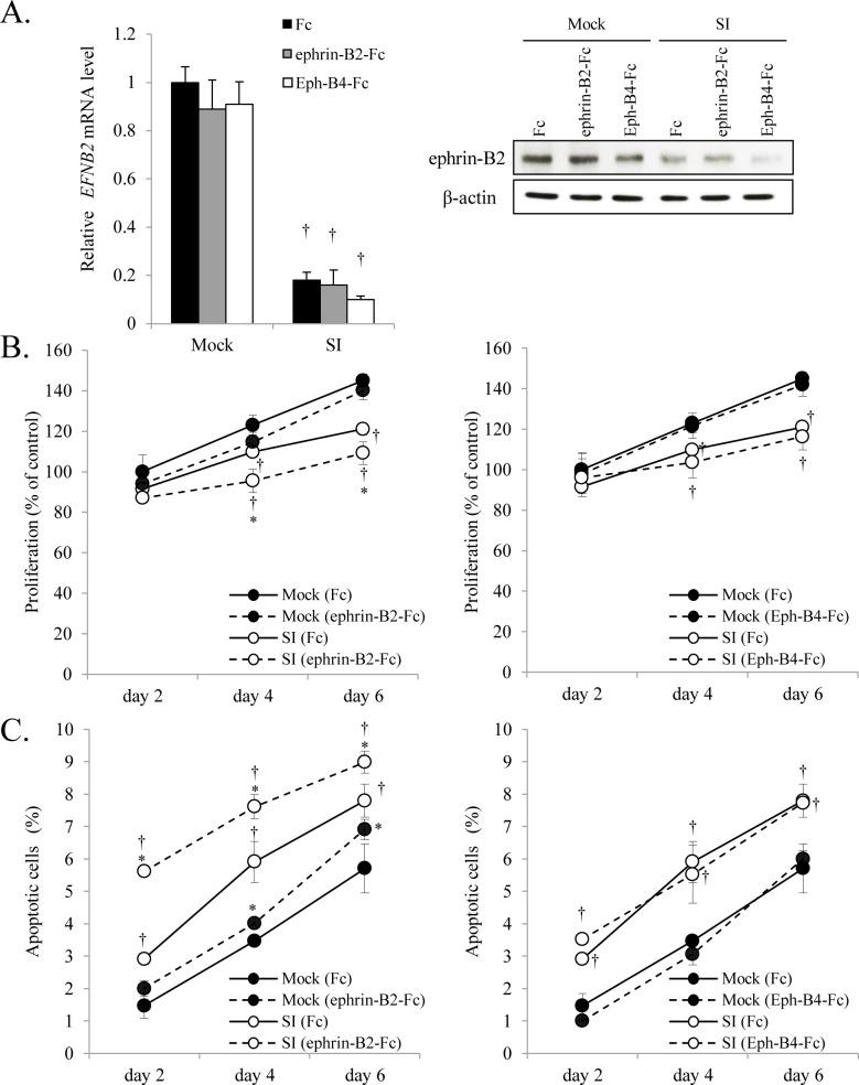 https://cdn.ncbi.nlm.nih.gov/pmc/blobs/5723/5708812/beb34d27dd9e/pone.0188965.g003.jpg