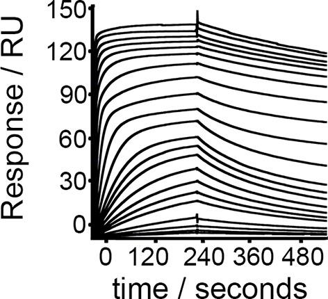 https://cdn.ncbi.nlm.nih.gov/pmc/blobs/5725/4889325/9bdace70533c/elife-13044-fig1-figsupp2.jpg