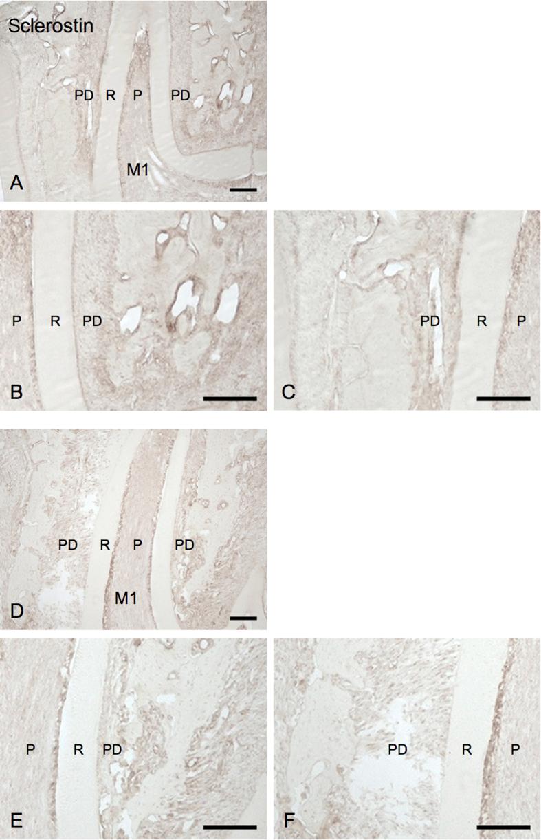 https://cdn.ncbi.nlm.nih.gov/pmc/blobs/5725/6395252/ff366314ac53/gr3.jpg