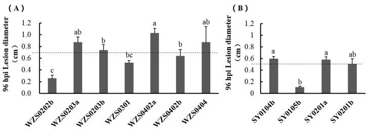 https://cdn.ncbi.nlm.nih.gov/pmc/blobs/5725/8708221/82087b879edd/plants-10-02672-g002.jpg