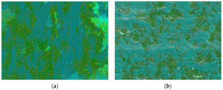 https://cdn.ncbi.nlm.nih.gov/pmc/blobs/5726/11435391/692a6dd2fffd/polymers-16-02572-g009.jpg
