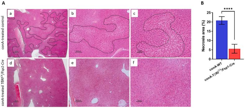 https://cdn.ncbi.nlm.nih.gov/pmc/blobs/5727/11876931/70fc5daeed69/gr3.jpg