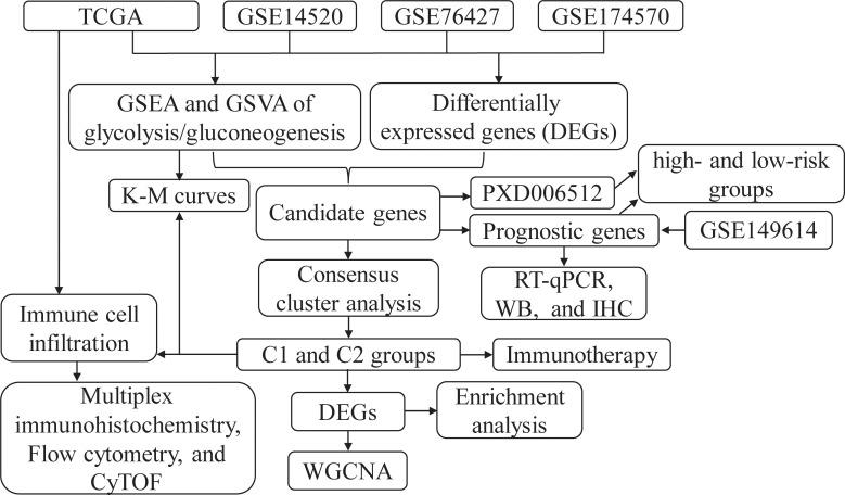 https://cdn.ncbi.nlm.nih.gov/pmc/blobs/572a/10597634/40dbdf6901c6/fimmu-14-1232390-g001.jpg