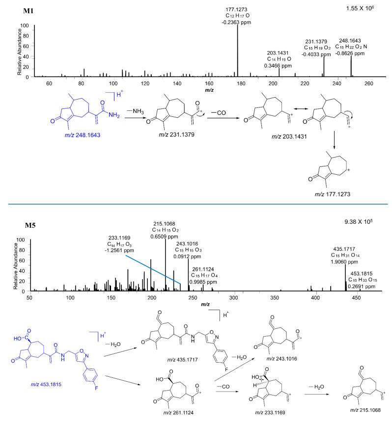 https://cdn.ncbi.nlm.nih.gov/pmc/blobs/5730/10222464/305a875626e6/pharmaceuticals-16-00728-g006.jpg
