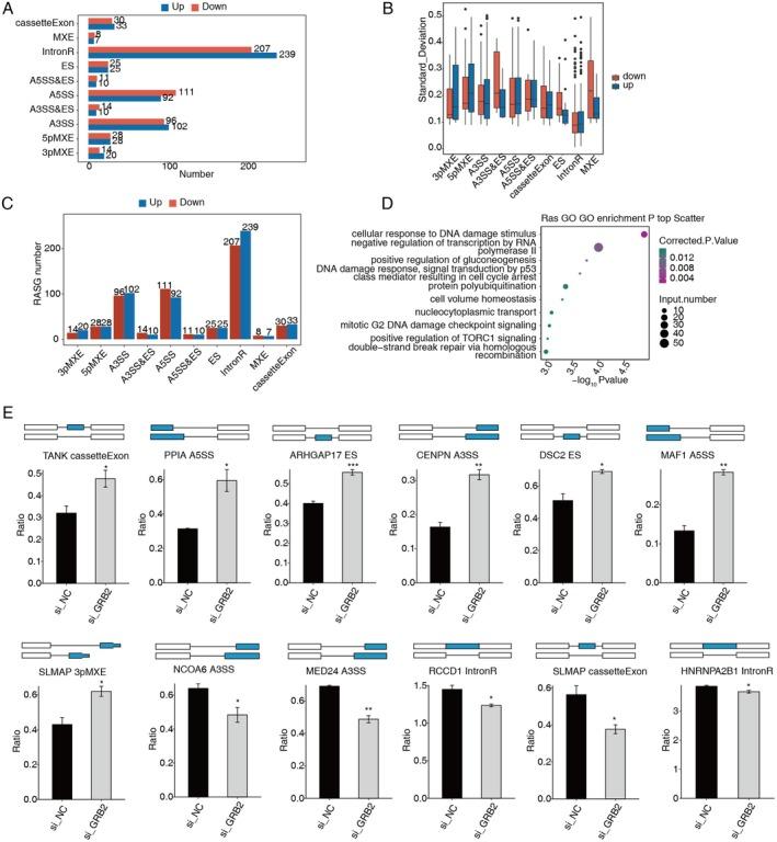 https://cdn.ncbi.nlm.nih.gov/pmc/blobs/5730/12086363/7040f6fa0c98/CAM4-14-e70905-g006.jpg
